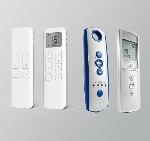 Voice or Remote Control